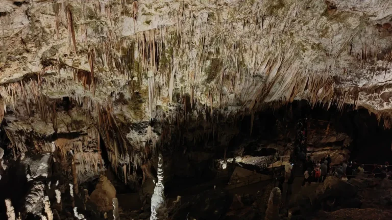 Cueva Postojna con niños