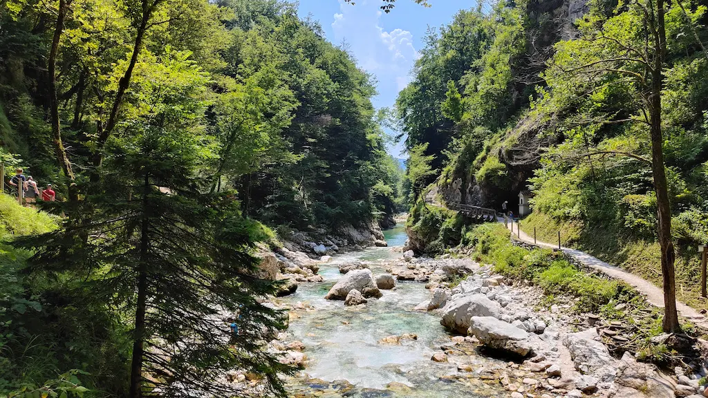 Garganta de Tolmin con noños