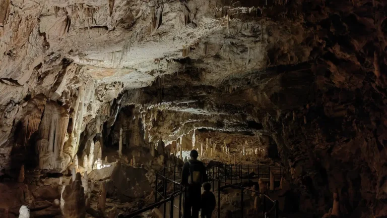 Cueva de postojna con niños