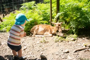 Gamo en lacuniacha con niños