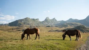 Valle de tena con niños