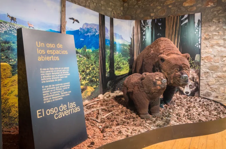 museo del oso cavernario en tella