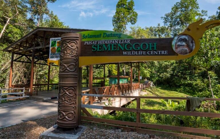 puerta semenggoh wildlife centre